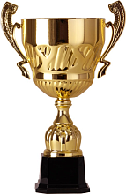 Купить кубок 2007
