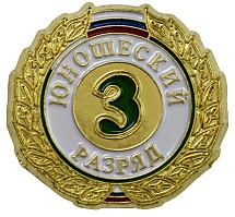 Купить Значок ZRJ